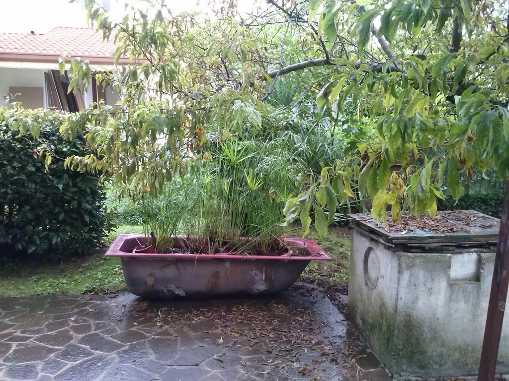Casa Irene Bed & Breakfast Torri di Quartesolo Bagian luar foto